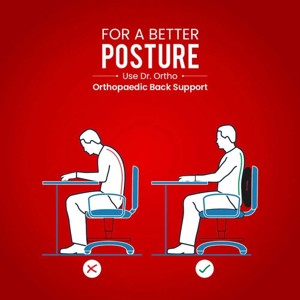 DR.ORTHO ORTHOPAEDIC BACK REST (UNI) - Image 4